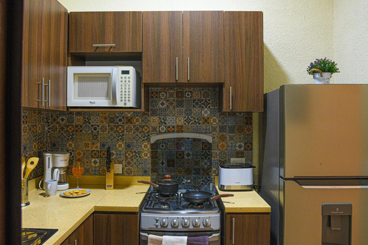 The Cozy Apartment 圣萨尔瓦多 外观 照片